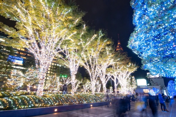 新宿ミナミルミイルミネーションの場所とアクセス期間時間見所おすすめは