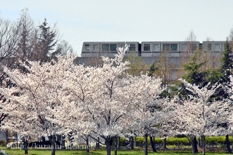 舎人公園のアクセス電車バス車駐車場近くのコンビニやスーパーは