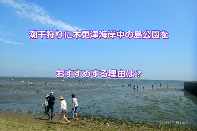 潮干狩りに木更津海岸中の島公園をおすすめする理由とイベントの内容は