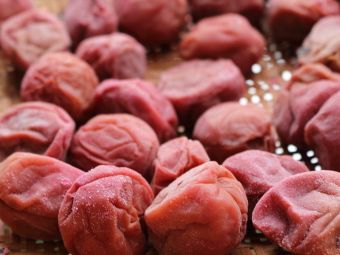梅干しの赤紫蘇を入れるタイミングはいつ梅酢の使い方や保存方法賞味期限は