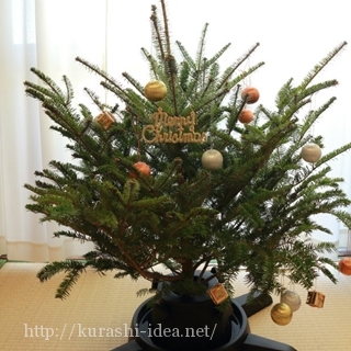 Ikeaクリスマスツリー16生もみの木の発売日や再入荷は フェイクツリーもご紹介
