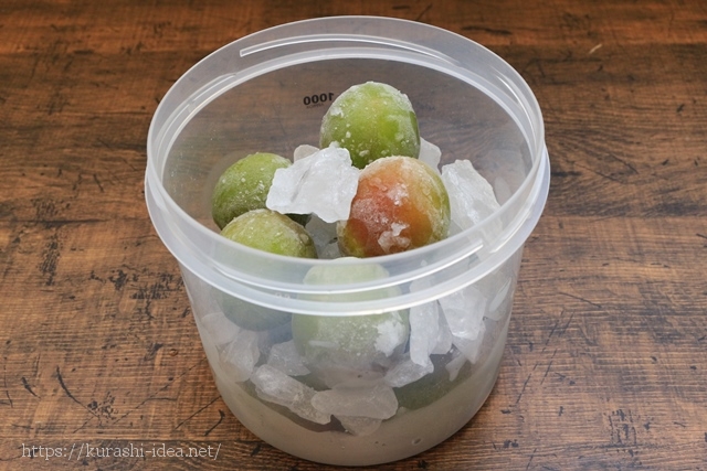 梅シロップをヨーグルティアと冷凍梅で早く作る方法時間と温度と味は