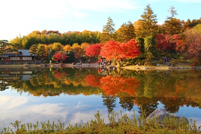 国営昭和記念公園の紅葉の感想とおすすめの理由混雑状況や食事や過ごし方は