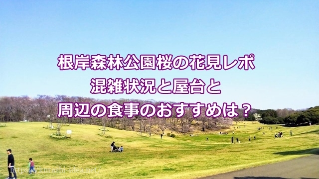 根岸森林公園桜の花見レポ混雑状況と屋台と周辺の食事のおすすめは