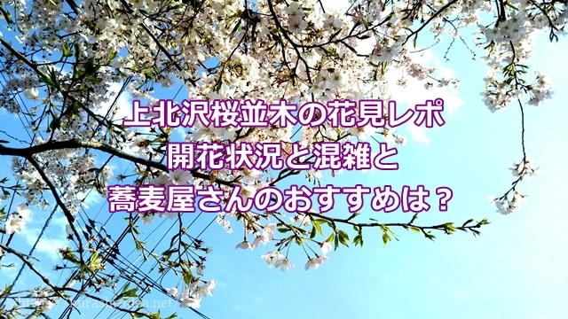 上北沢桜並木の花見レポ開花状況と混雑と蕎麦屋さんのおすすめは