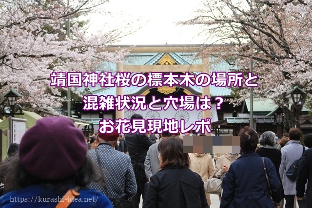 靖国神社桜の標本木の場所と混雑状況と穴場は お花見現地レポ