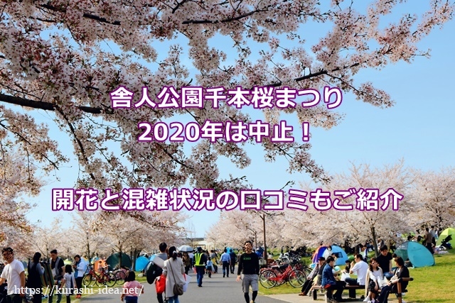 舎人公園千本桜まつり年は中止 開花と混雑状況の口コミもご紹介